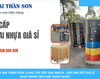 Dây đai nhựa cột thùng carton Phú Yên