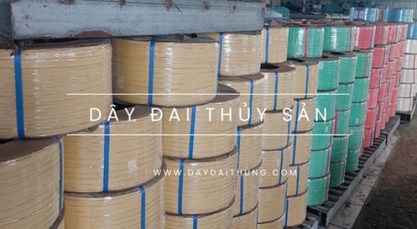 Cung cấp dây đai nhựa đai thủy sản tại Cần Thơ