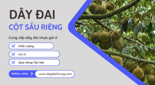 Dây đai nhựa cột cành sầu riêng Bình Phước