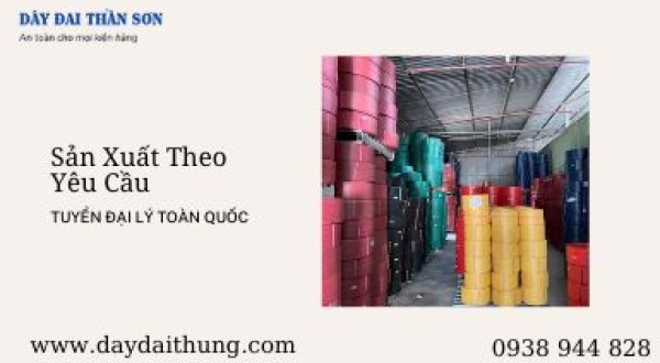 Dây đai nhựa niềng thùng Bình Dương