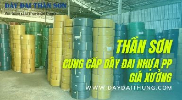 Dây đai nhựa PP Dầu Tiếng