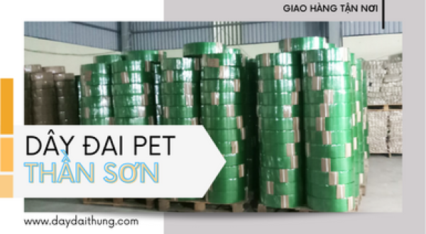 Dây đai Pet giá rẻ